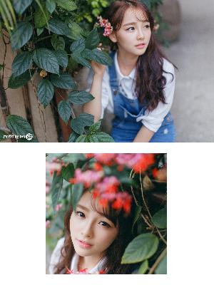 免费观看电视剧大全