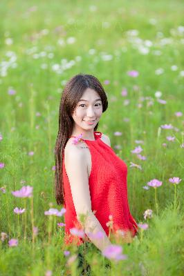 B站永久看片免费