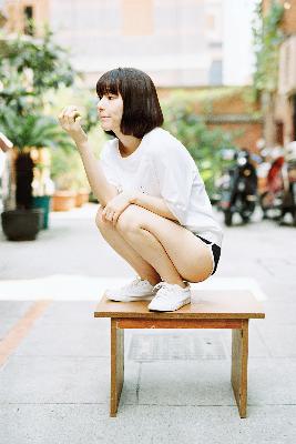 树影迷宫电视剧免费播放