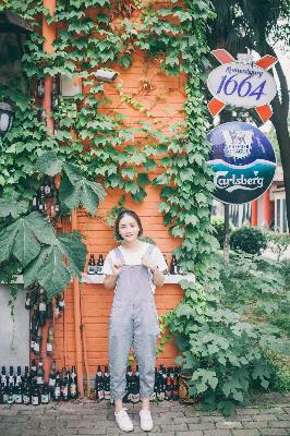 朝雪录电视剧免费观看全集高清