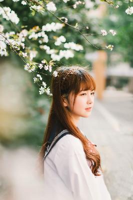 国产在线观看免费全集电视剧免费下