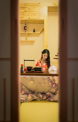 金瓶双艳电视剧免费观看全集高清