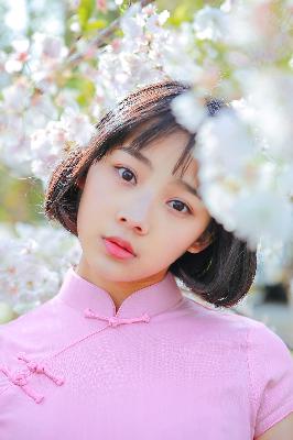 莲花楼电视剧免费观看完整版