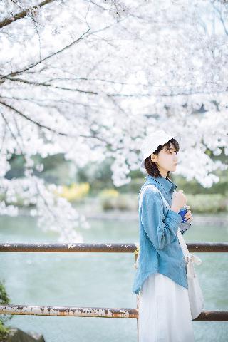 在线观看高清免费完整版电影