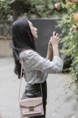 长安二十四计在线观看完整版