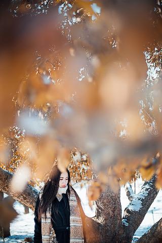 都市系列短篇小说合集