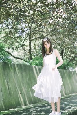 回复术士的重来人生