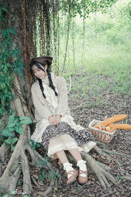 樱花动漫官网官方入门网站入口