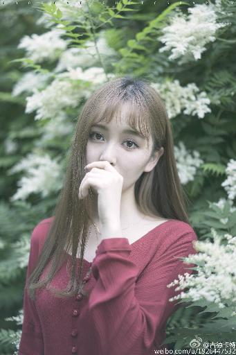 梅子影院免费观看电视剧高清版