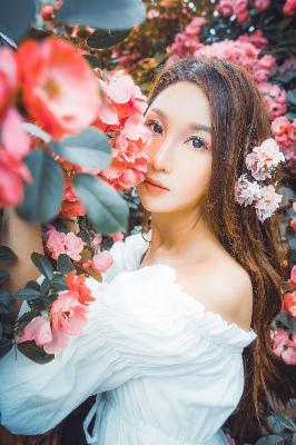 半是蜜糖半是伤免费观看全集完整版