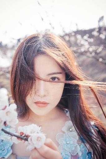 猫女的诅咒在线观看