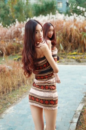 长安二十四计电视剧免费观看全集高清