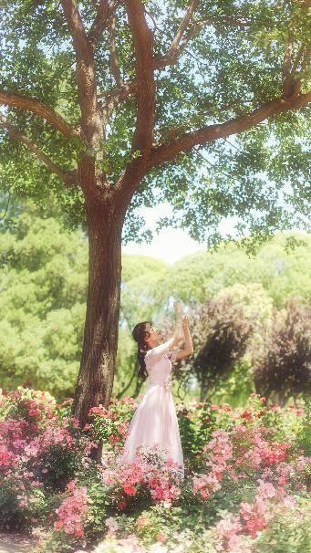 舍不得星星电视剧免费观看