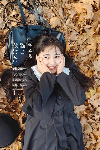 免费观看电视剧全集在线播放高清