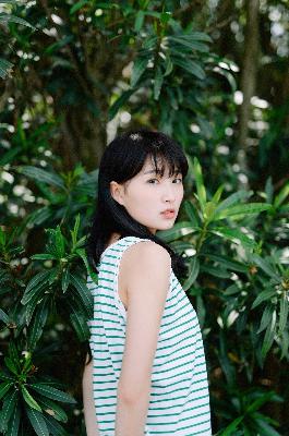 霜花店在线观看