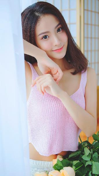 喜羊羊与灰太狼