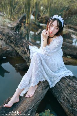 白色橄榄树电视剧完整版免费观看