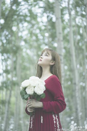 最近热播电视剧排行榜前十名