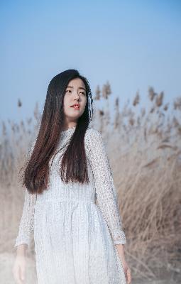 罚罪2电视剧全集免费播放完整版高清