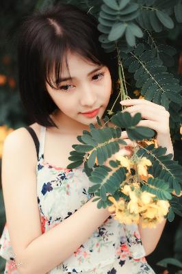 会长是女仆大人动漫完整版