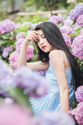 国产免费观看高清电视剧在线观看