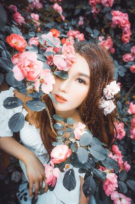 YY影院在线观看高清电视剧大全